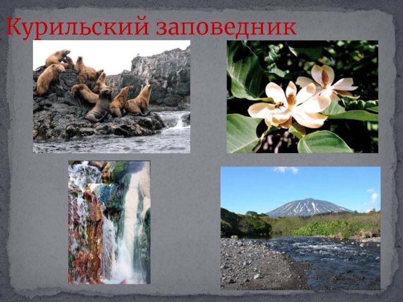 834d51286c8b369558264fe6aae7a840-800x.jpg